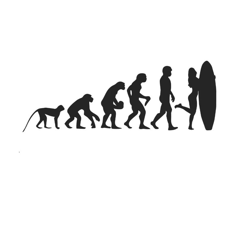 Evolution Surf