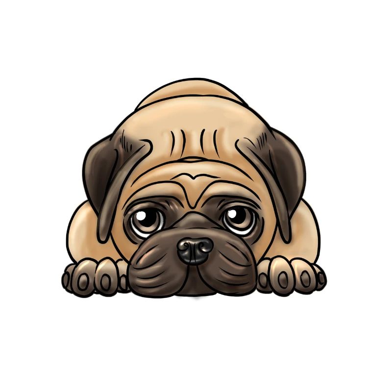 Mops