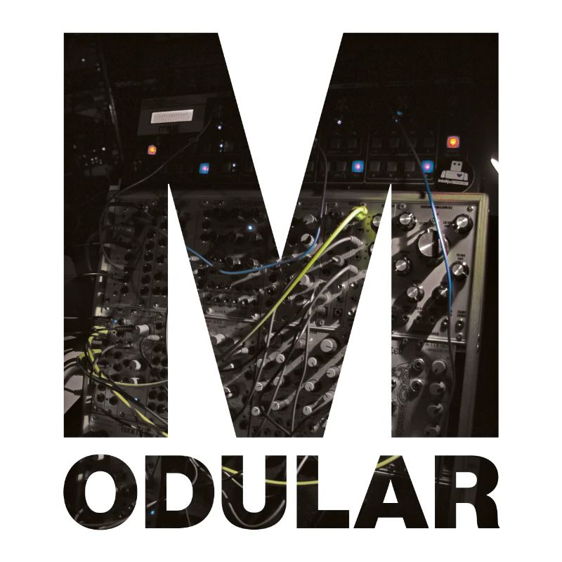 Modular System Moog, Make Noise, Vermona, Patch