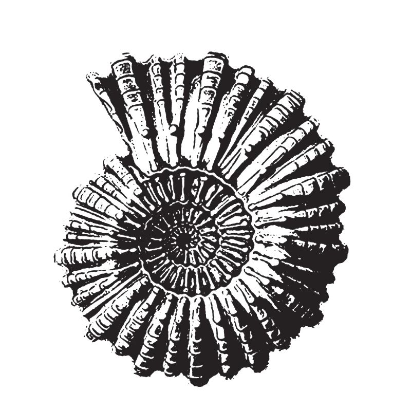 Escargot de pierre rétro