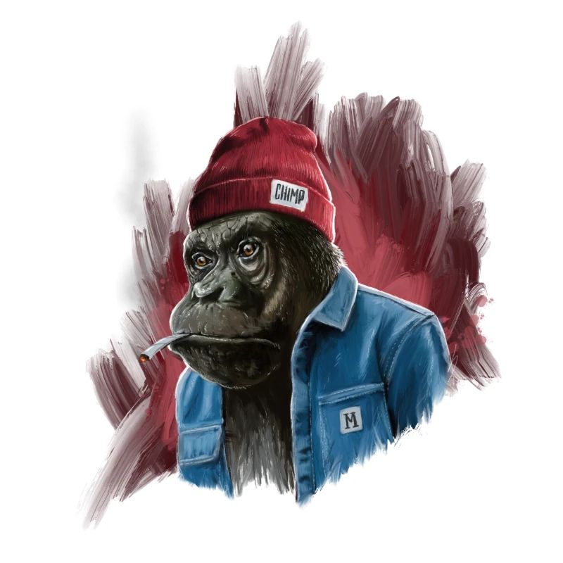 Chimp