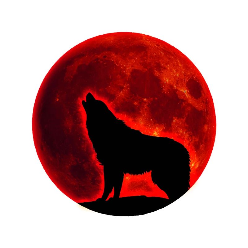 Wolf full moon