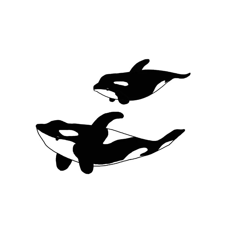 Orca Mutter mit Kind