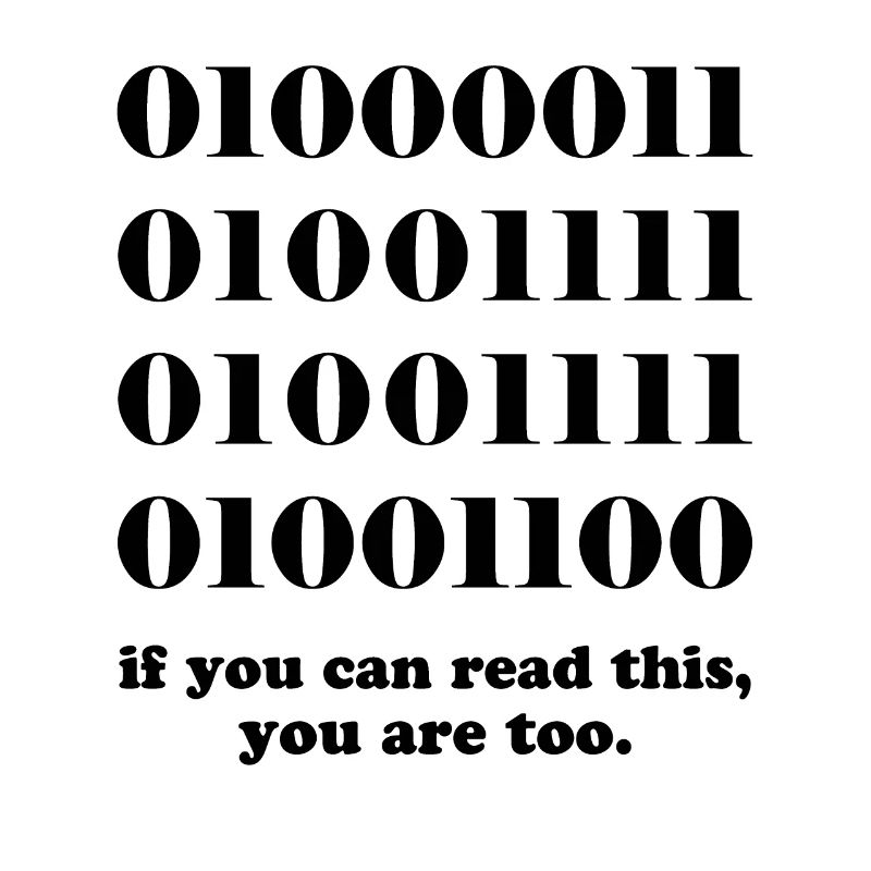 Computer binary code developers gift