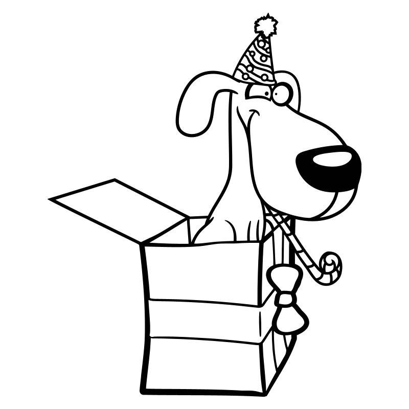 Dog Birthday Gift Party Hat Celebrate Toad