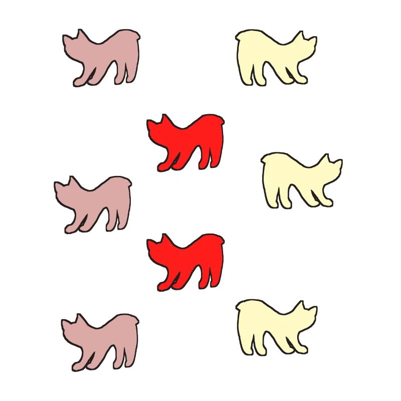 Chats sans queue