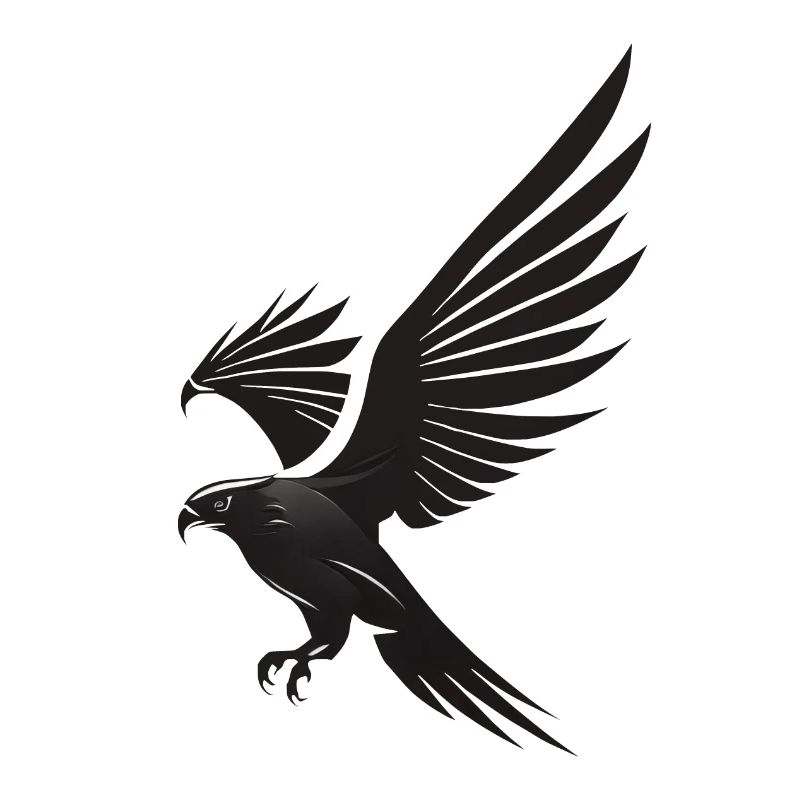 Sublime glide: Black eagle as a symbol