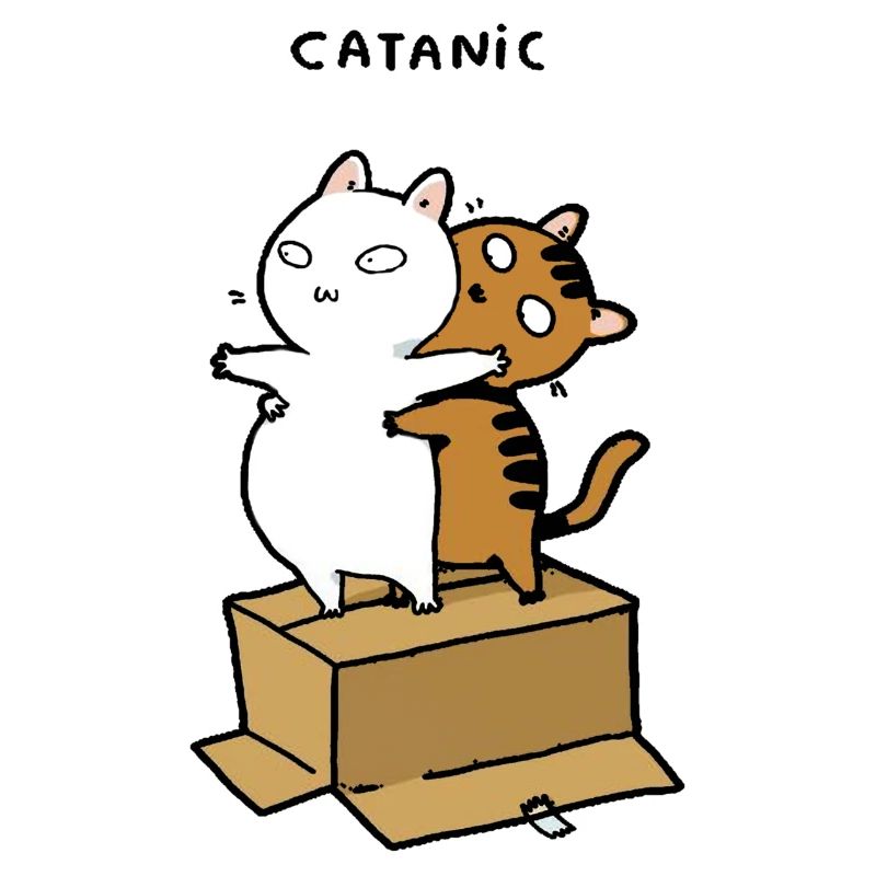Catanic Main Coon Perser Katze Geschenk