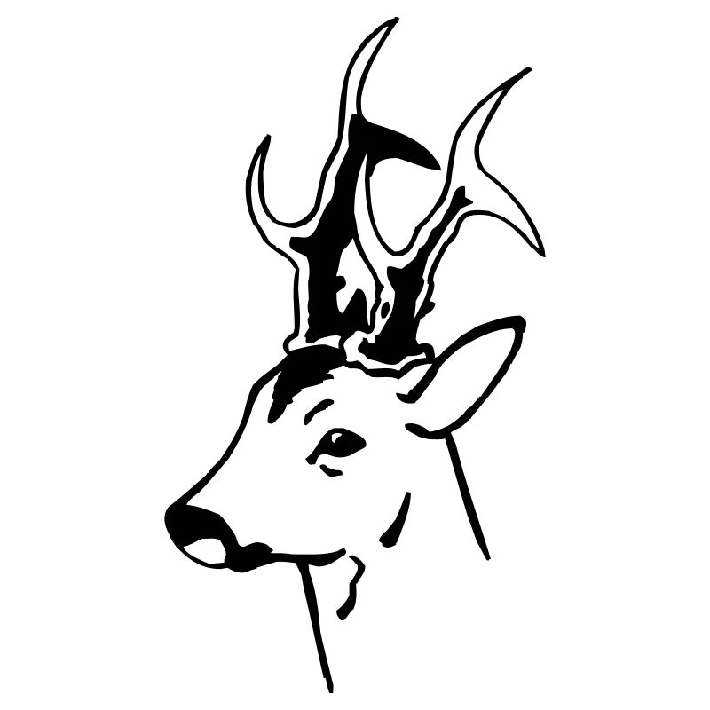 Roebuck