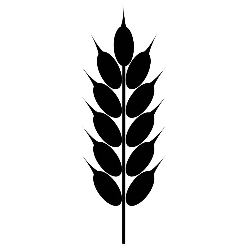 cereals corn cereal wheat wheat veggie gemuese v