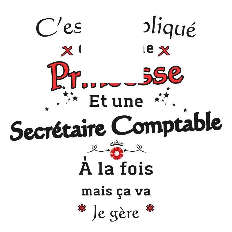 Princesse Secrétaire Comptable