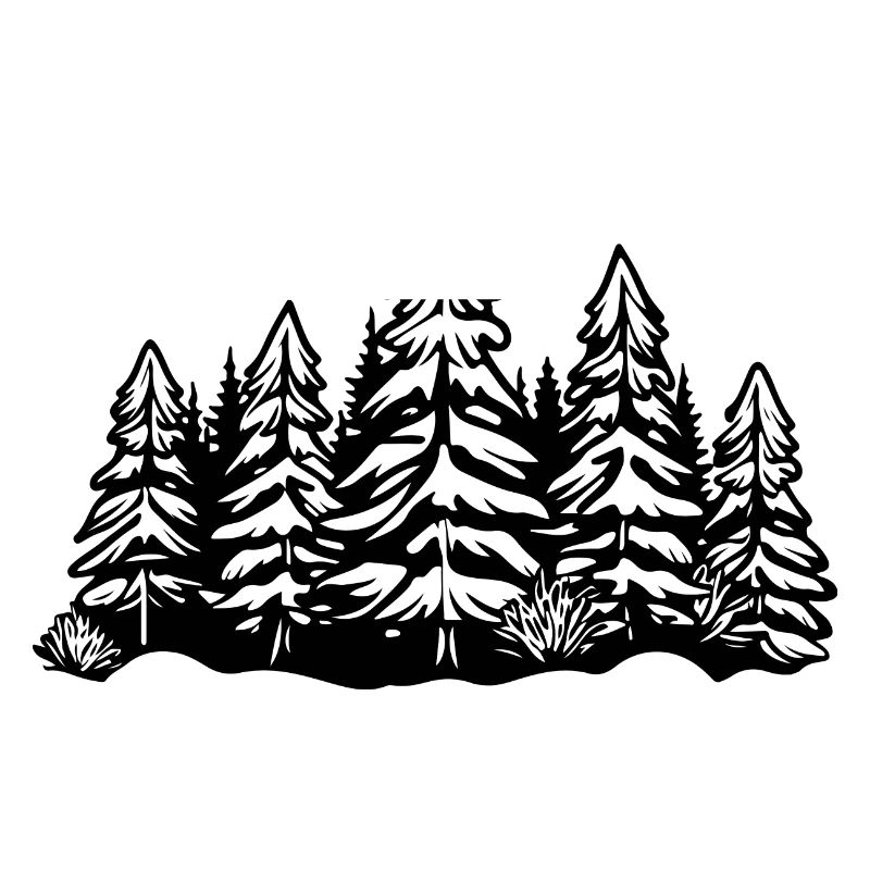 Wald Bäume