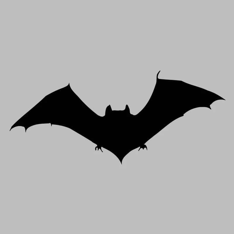 Bat