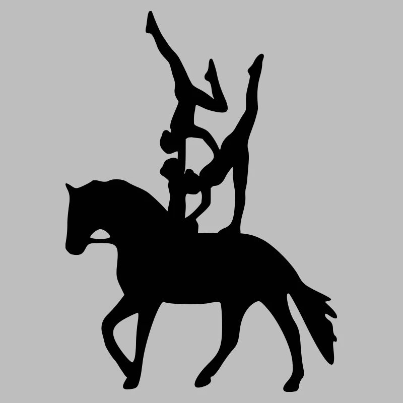 Vaulting three exercise freestyle