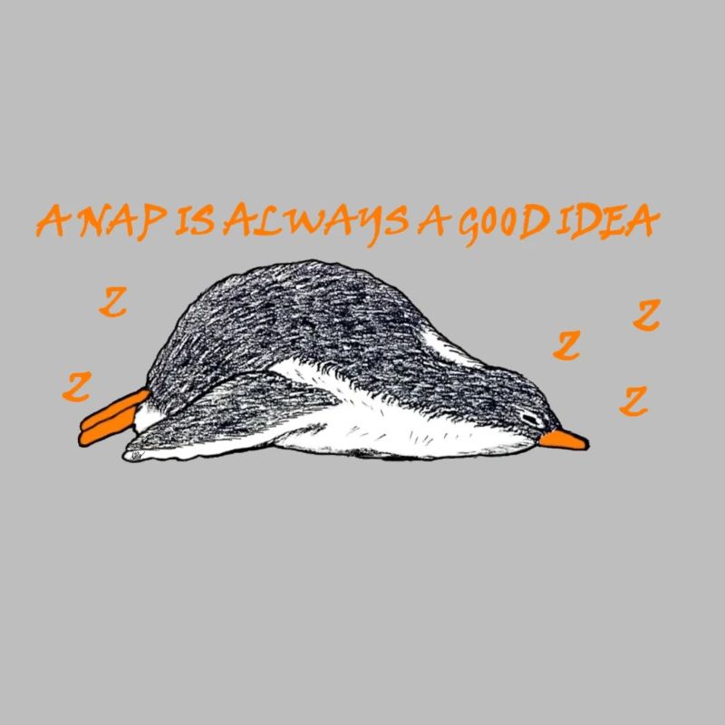 A nap is always a good idea