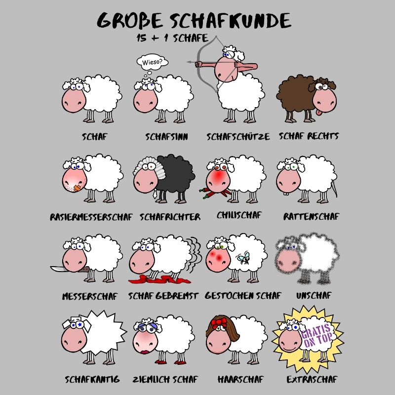Great sheep knowledge