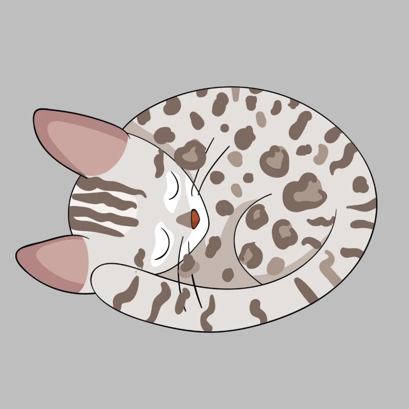 Chat de Bengale Chat