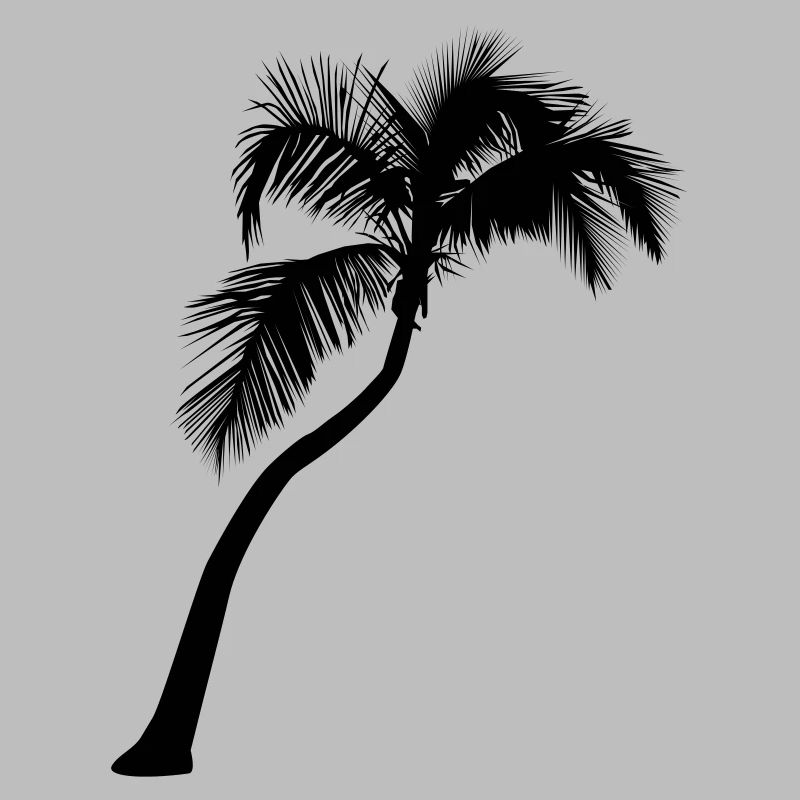 Palm