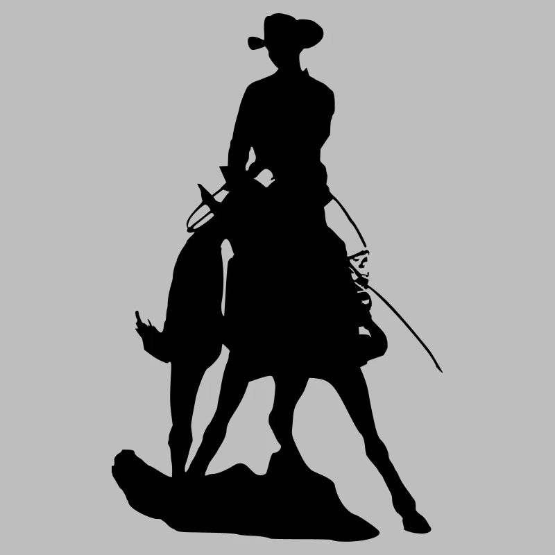 Westernpferd im Spin