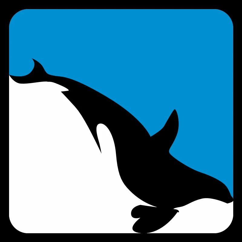 Orca whale dives in two colors