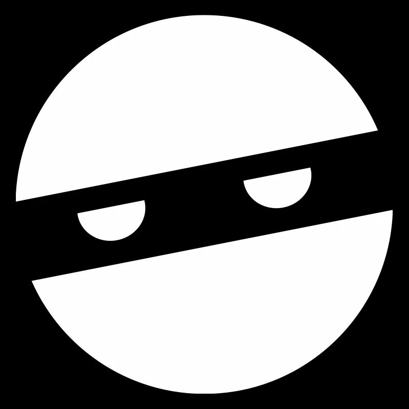 Cool Ninja!