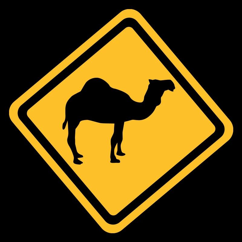 Camel