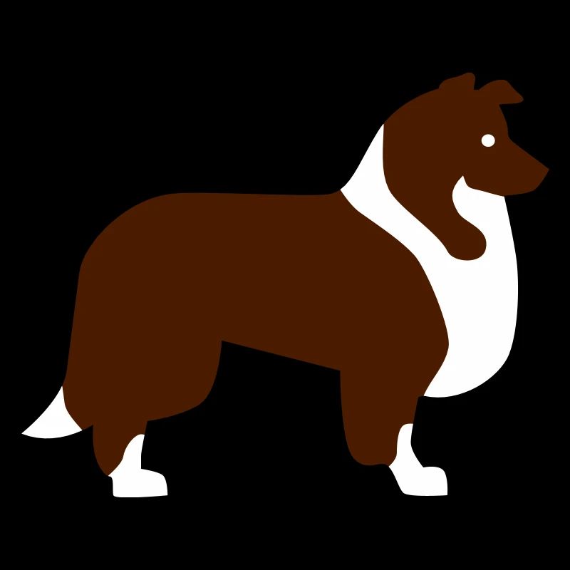 Collie
