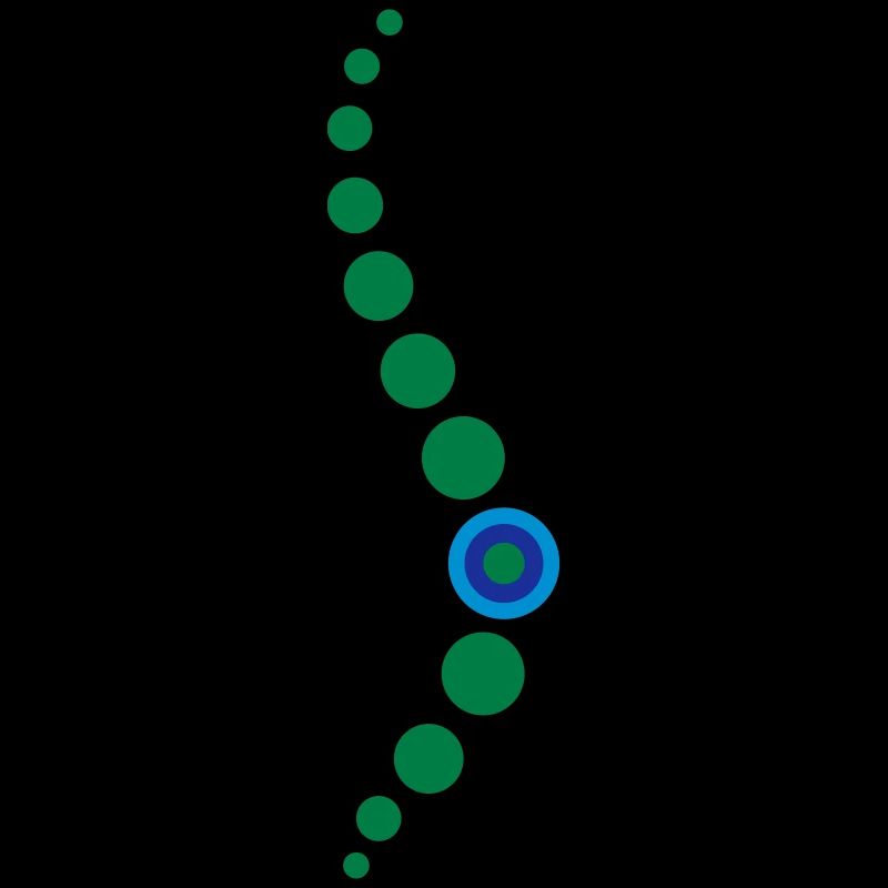 Physio 9 Logo