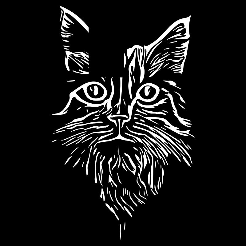 Katze - Vector