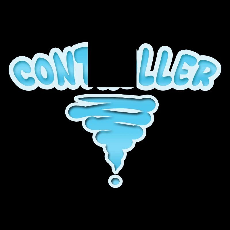 Controller as a profession