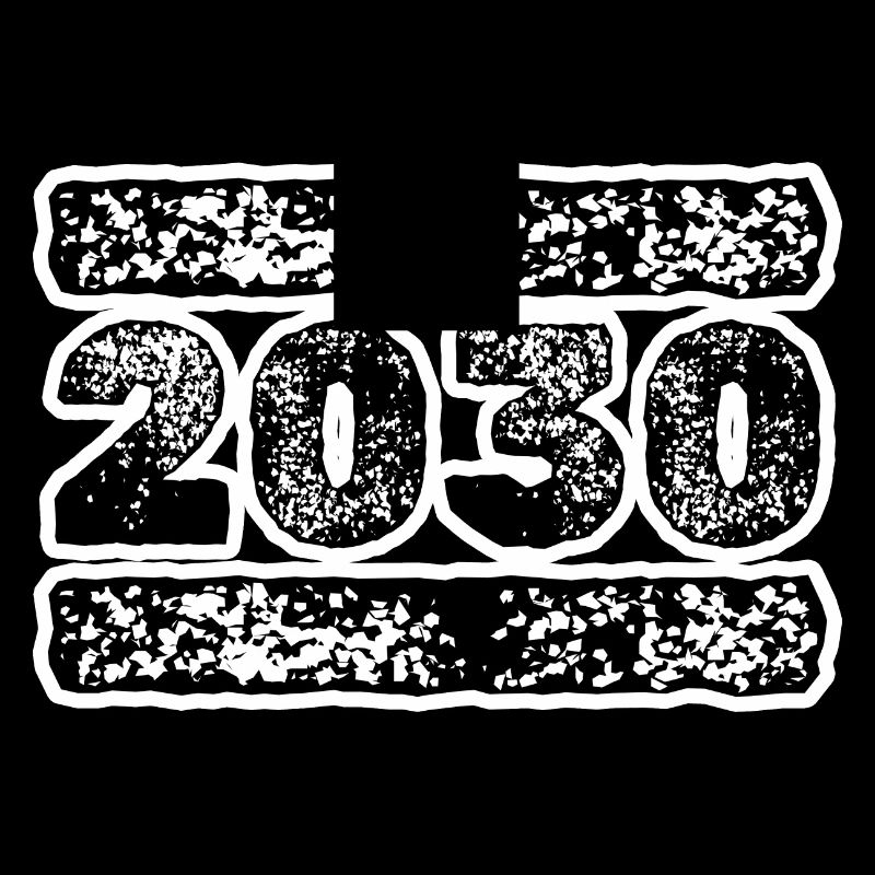 Year 2030