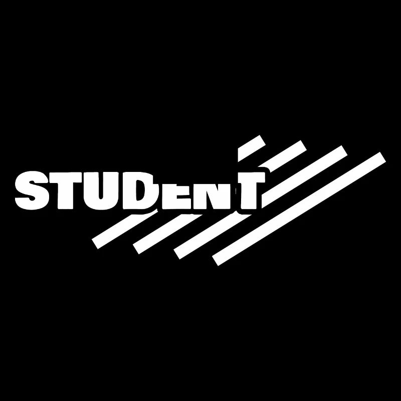 Student as a workplace