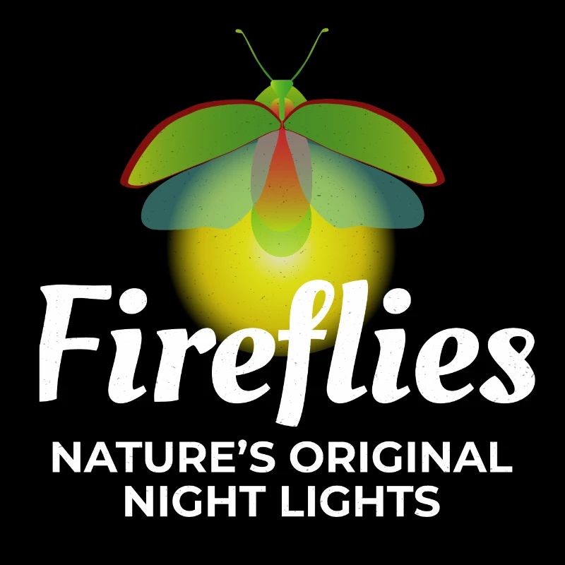 Lucioles Firefly Lightning Bug Insect Collector