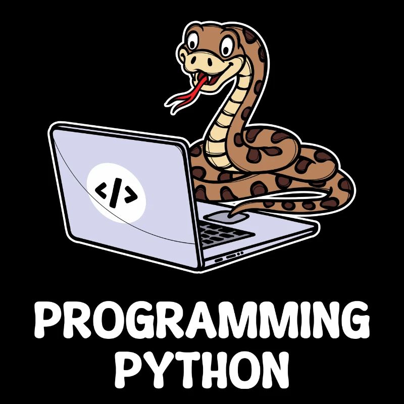 Scripting Programmer Computer Debug Developer