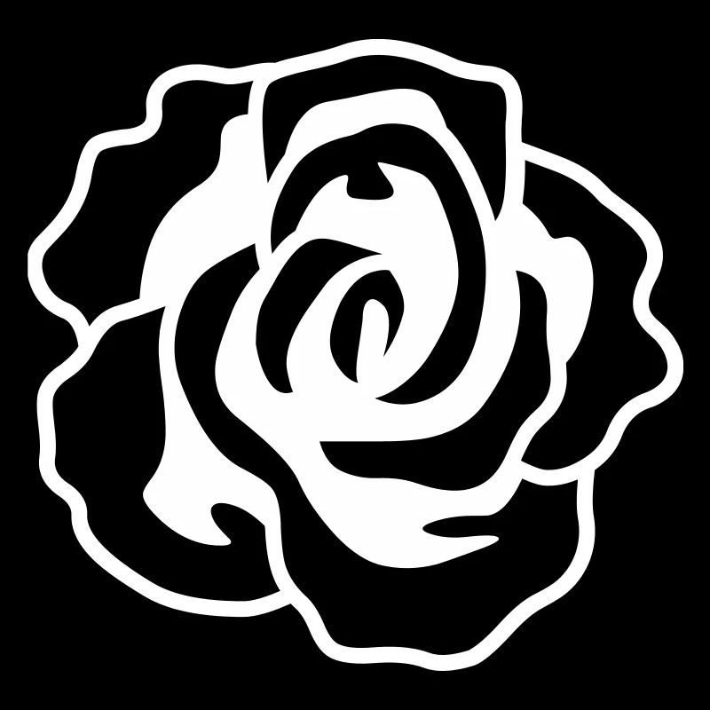 Rose Floraison