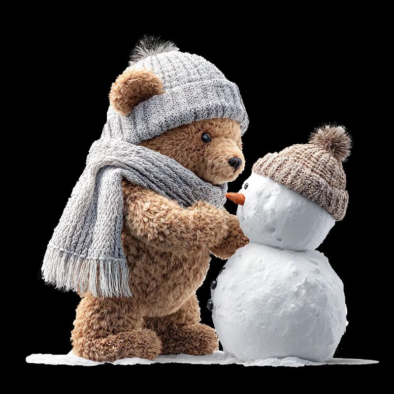 Winterteddy und Schneemann