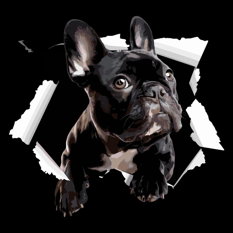 Percée du bouledogue français Drôle