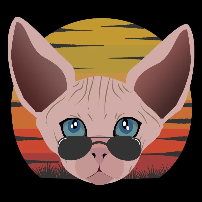 Coucher de soleil de chat Sphinx