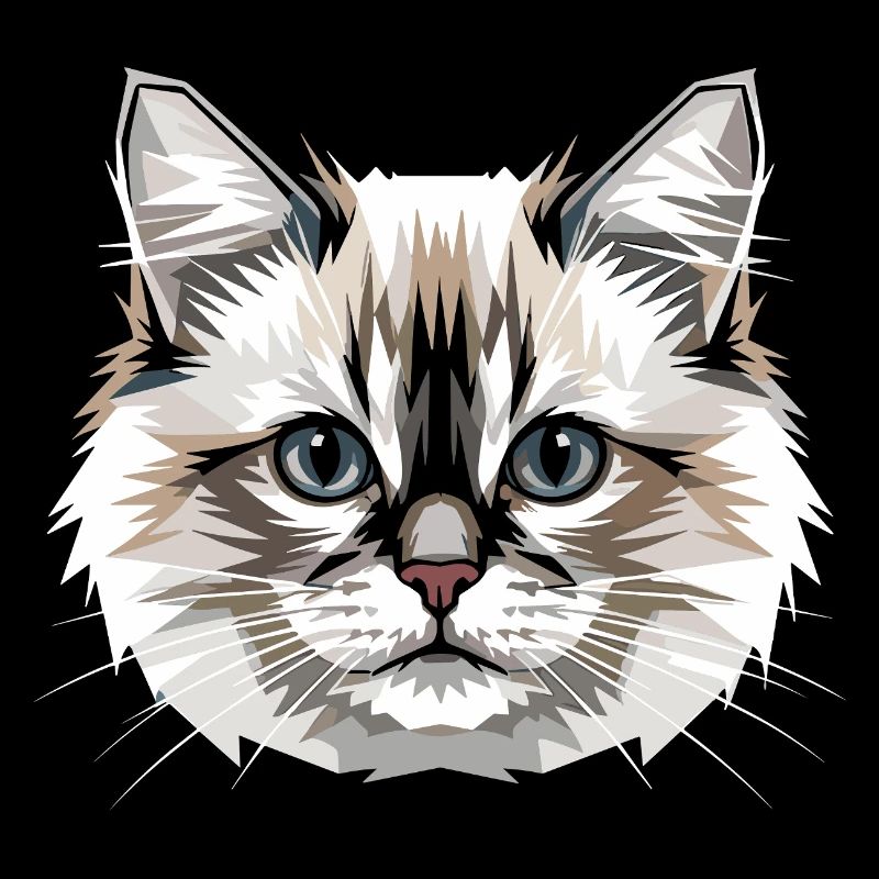 Ragdoll Katze Ragdollkatze Cat Süße Ragdoll Katzen