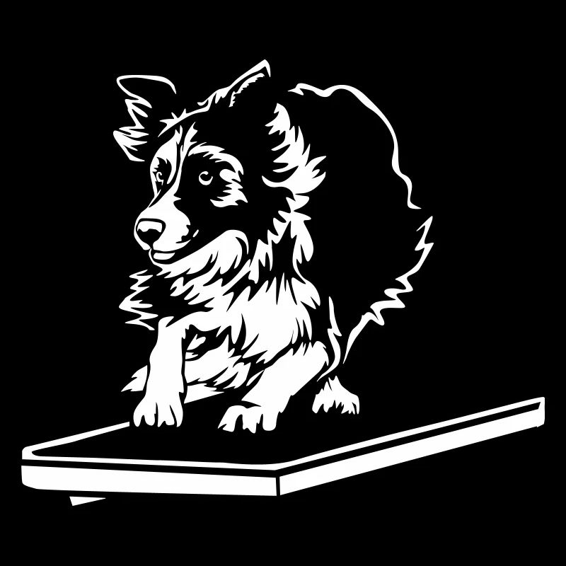 Border Collie « Black Edition »