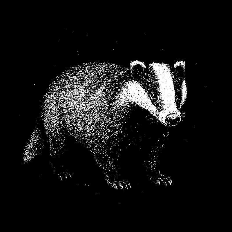 Badger