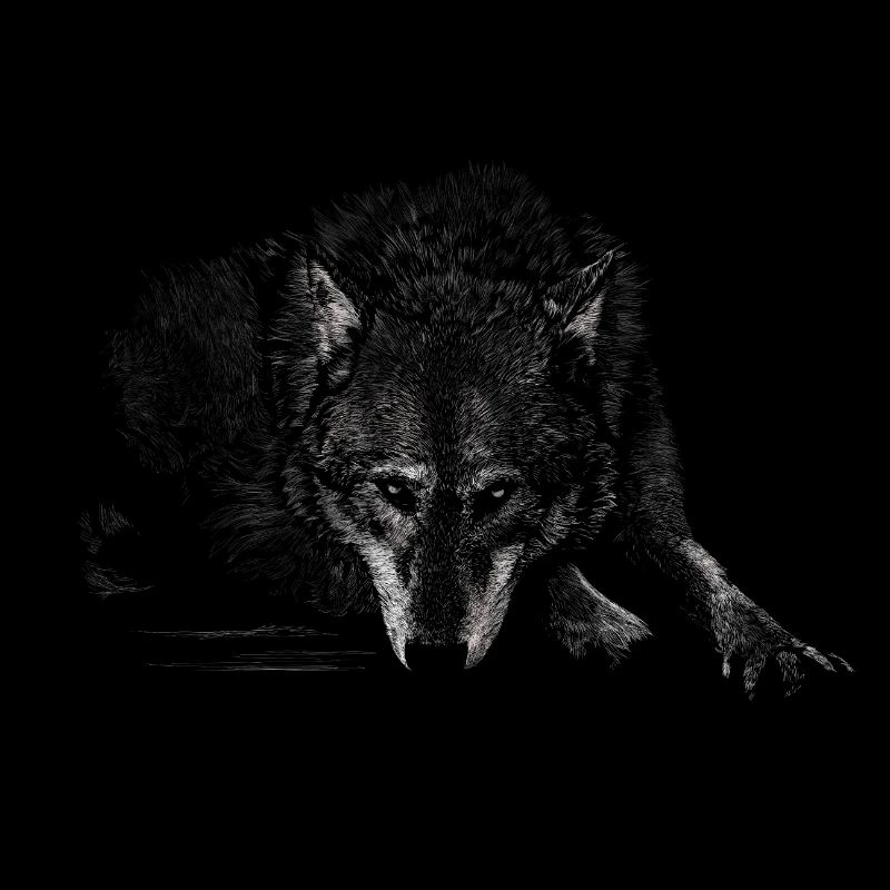 Wolf