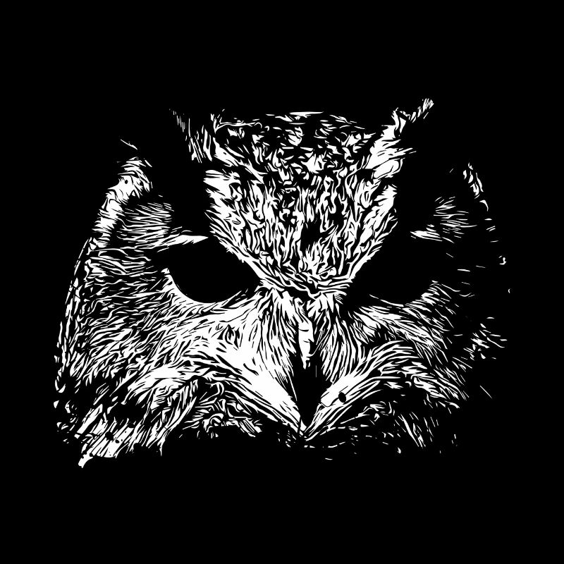 Hibou effrayant