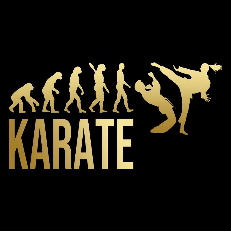 Evolution Karate