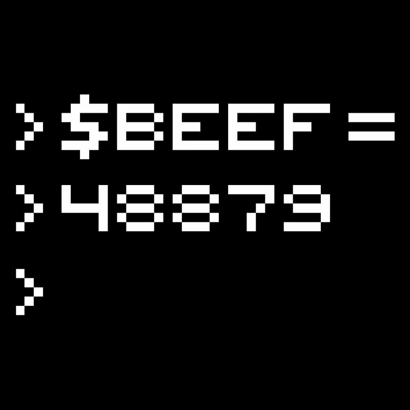 BEEF 8-bit Code Nerd Pixel Terminal Rétro