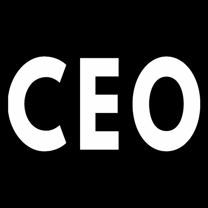 PDG Directeur général Chef d’entreprise