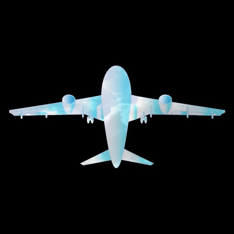 Passenger plane with cloud pattern
