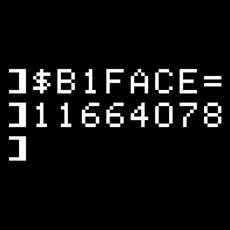 B1FACE Biface Code hexadécimal 8 bits Geek