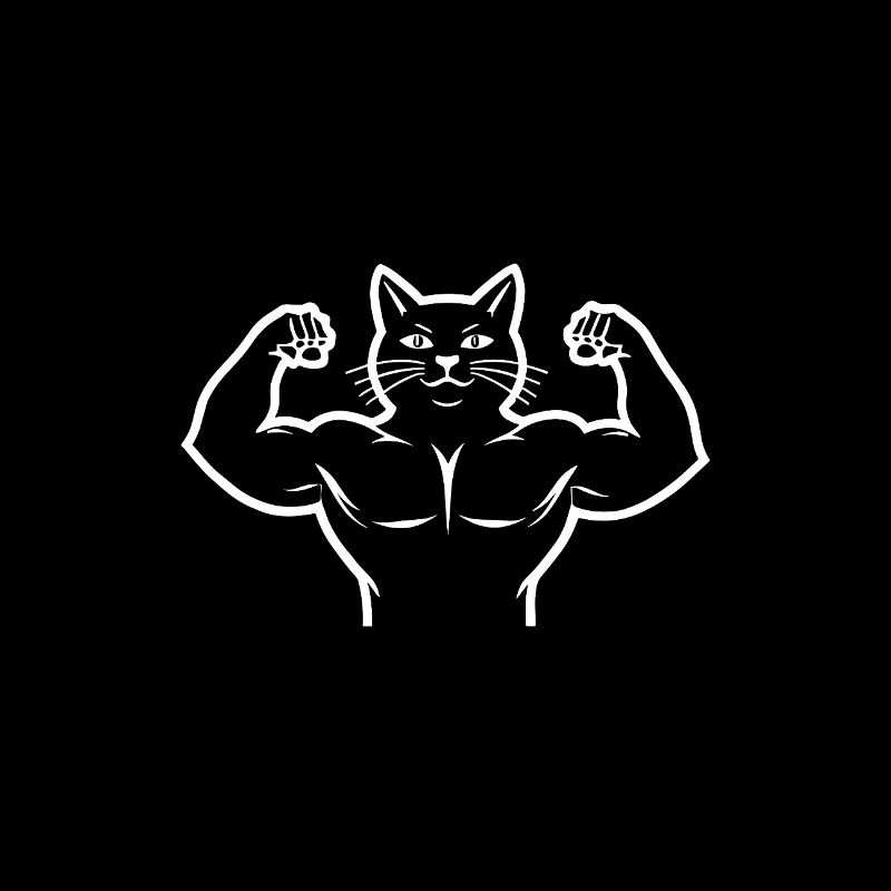 Chat carrossier - Chat sportif