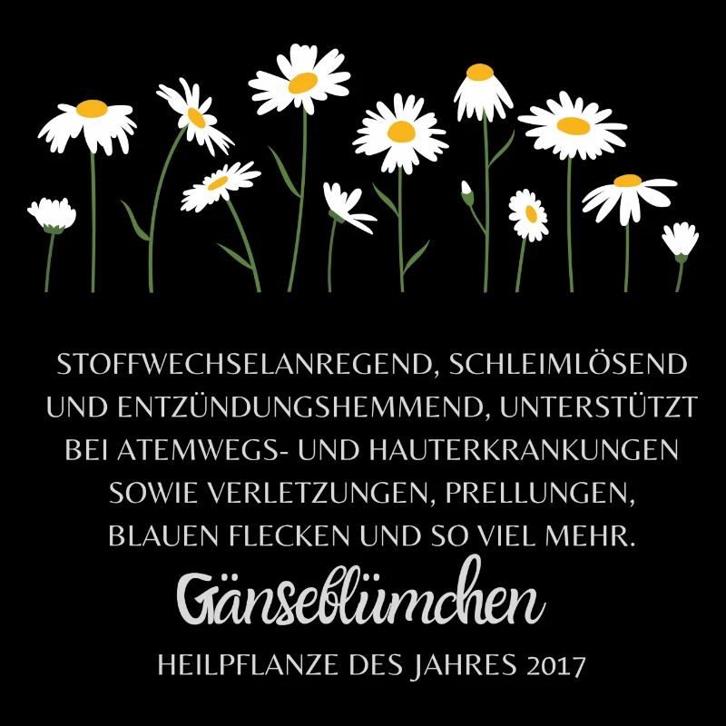 Gänseblümchen